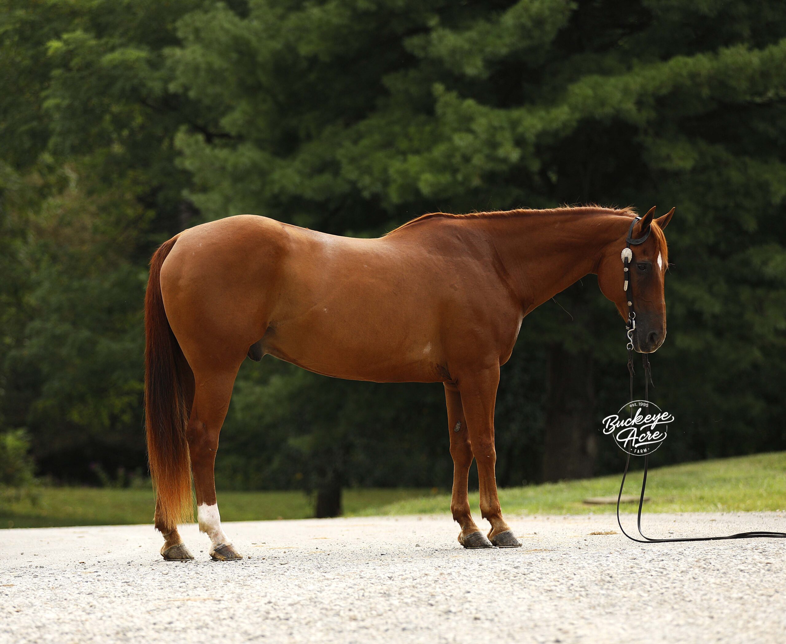 MR Ed - Image 2