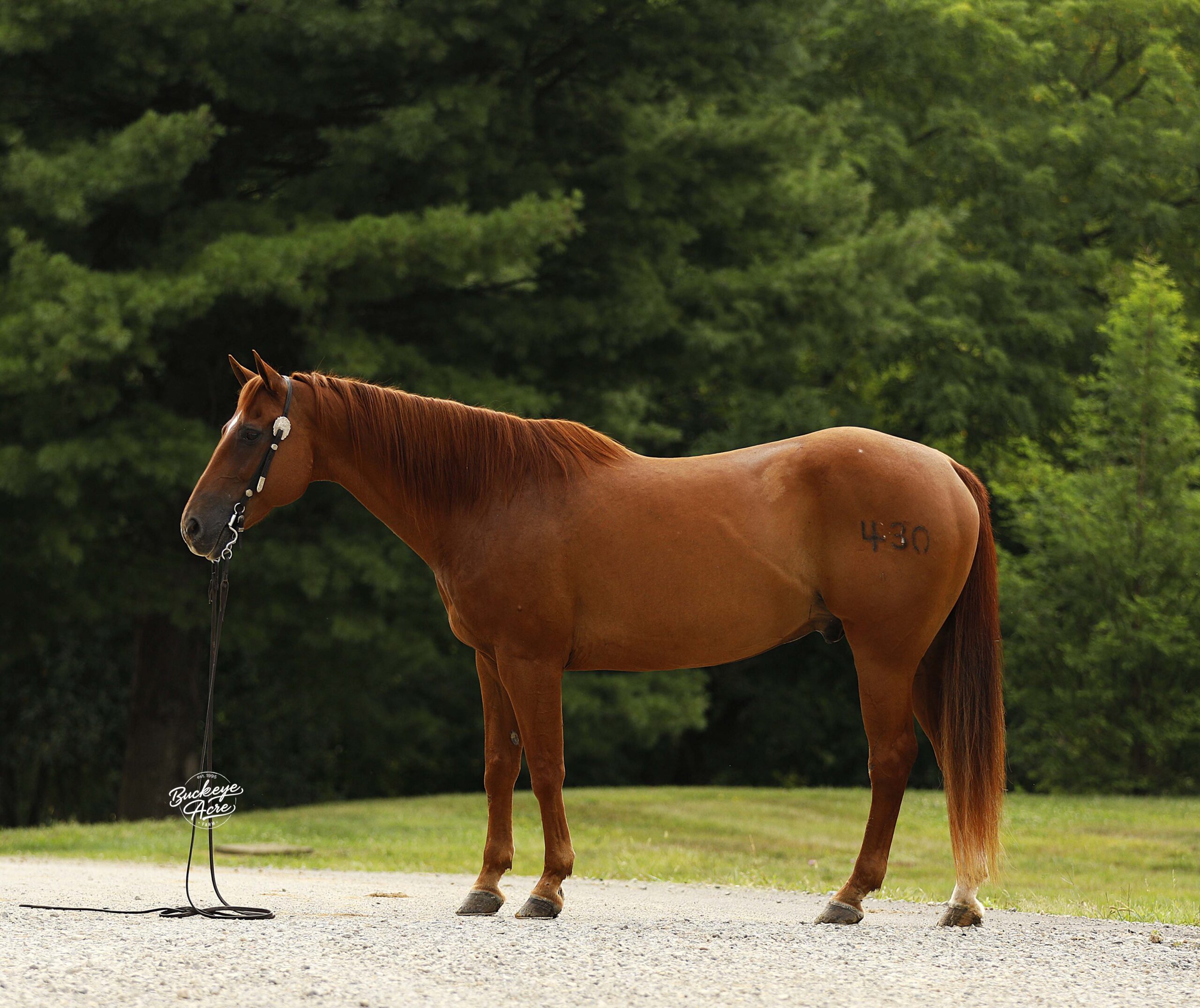 MR Ed - Image 3