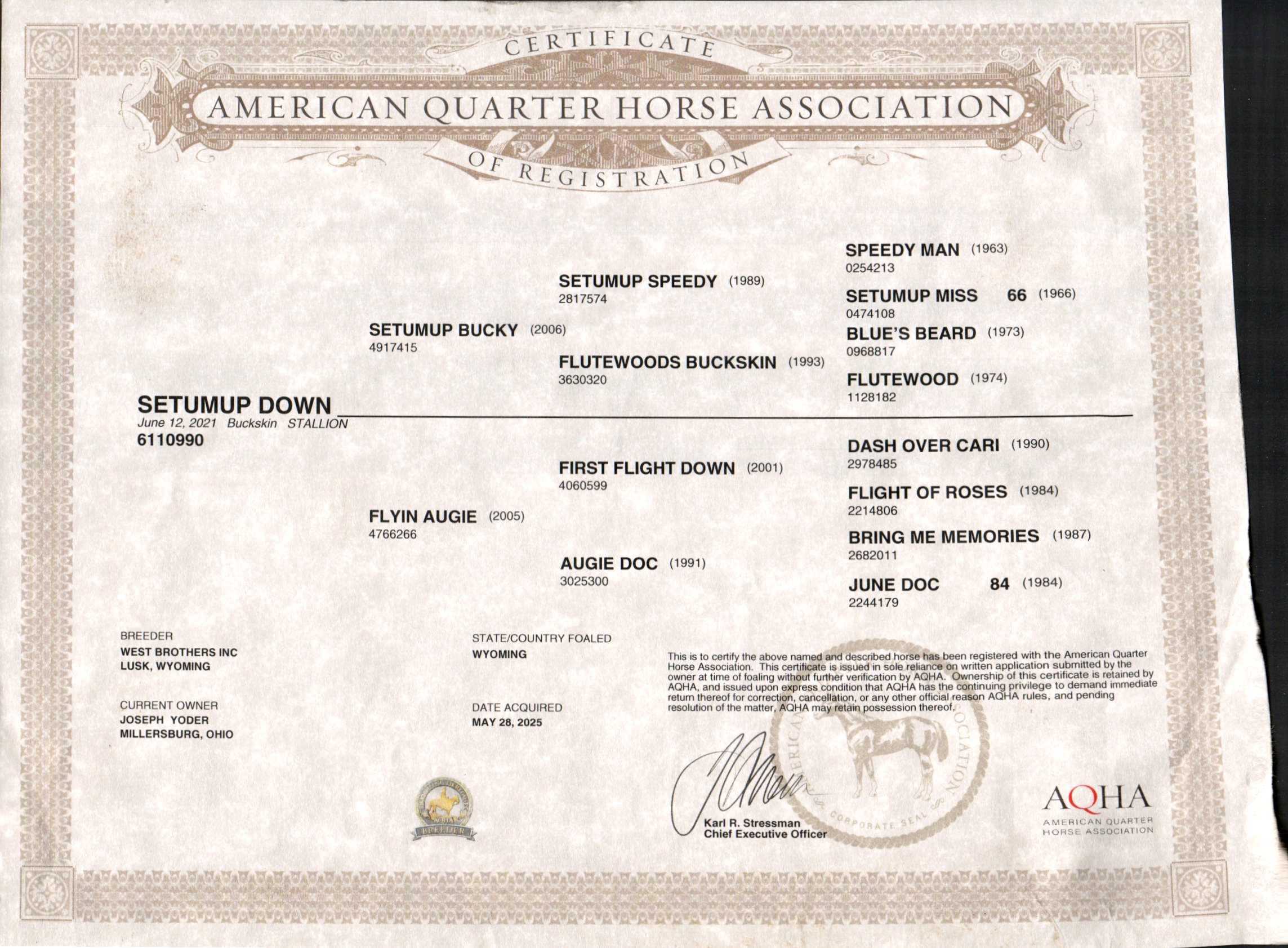 Bently - Image 16