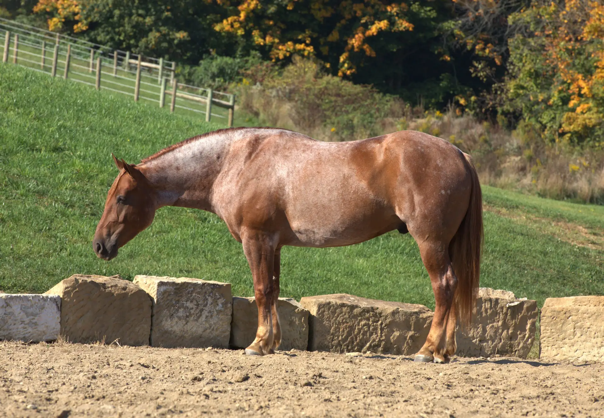 291A0057-scaled-1.jpg