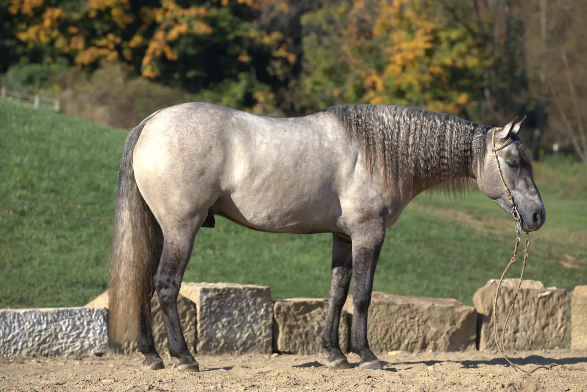 291A0664-2-scaled-1.jpg