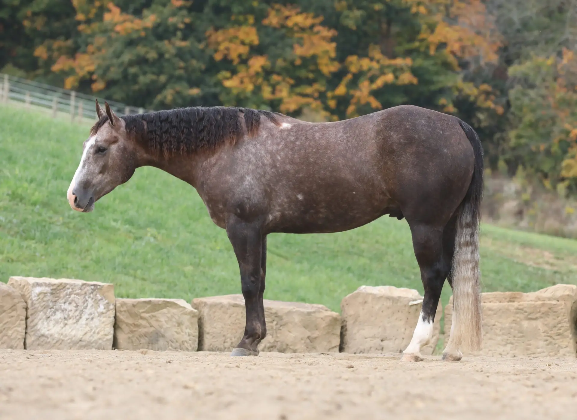 291A1518-22-scaled-1.jpg