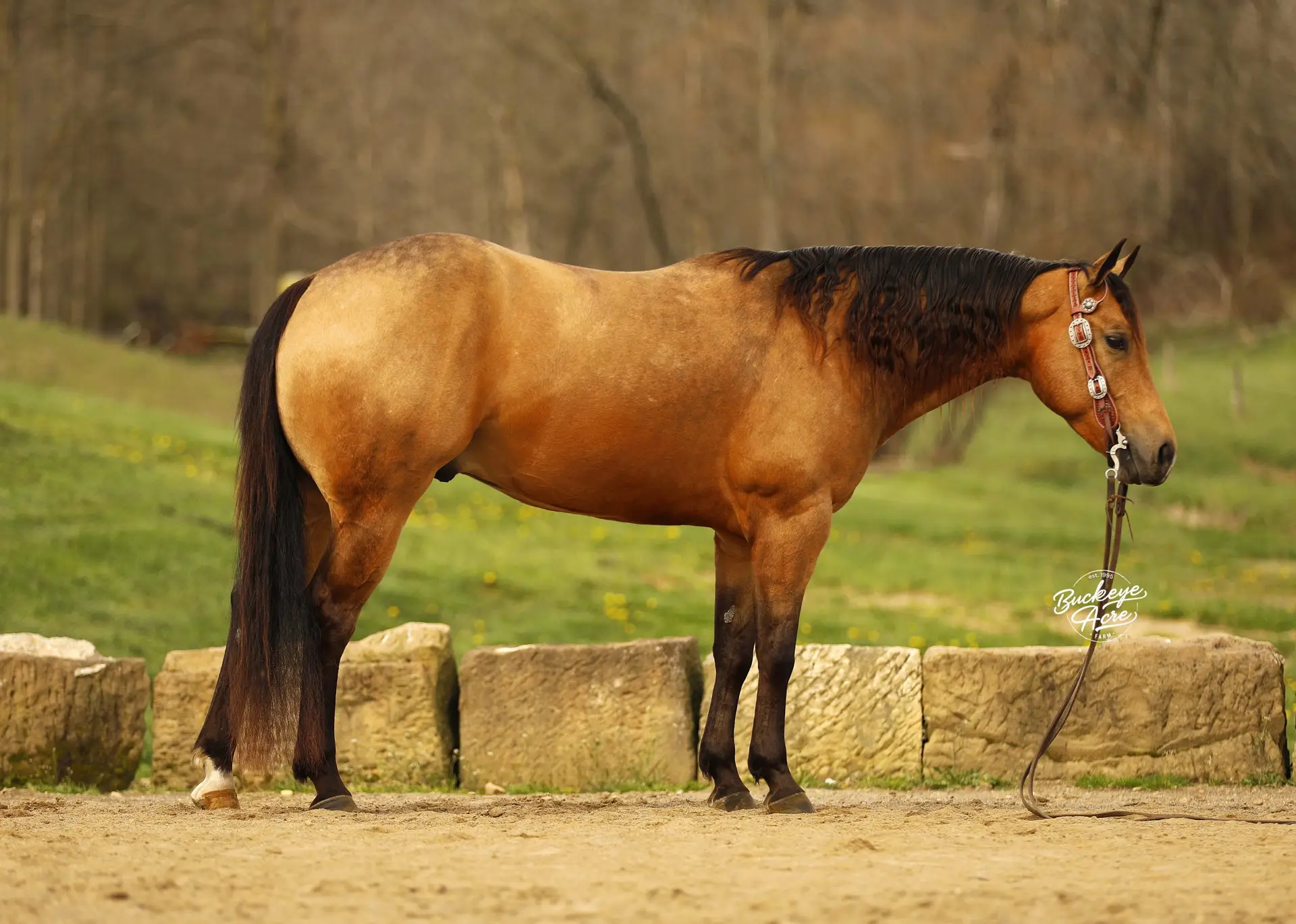 91A9634-2-copy-scaled-2.jpg