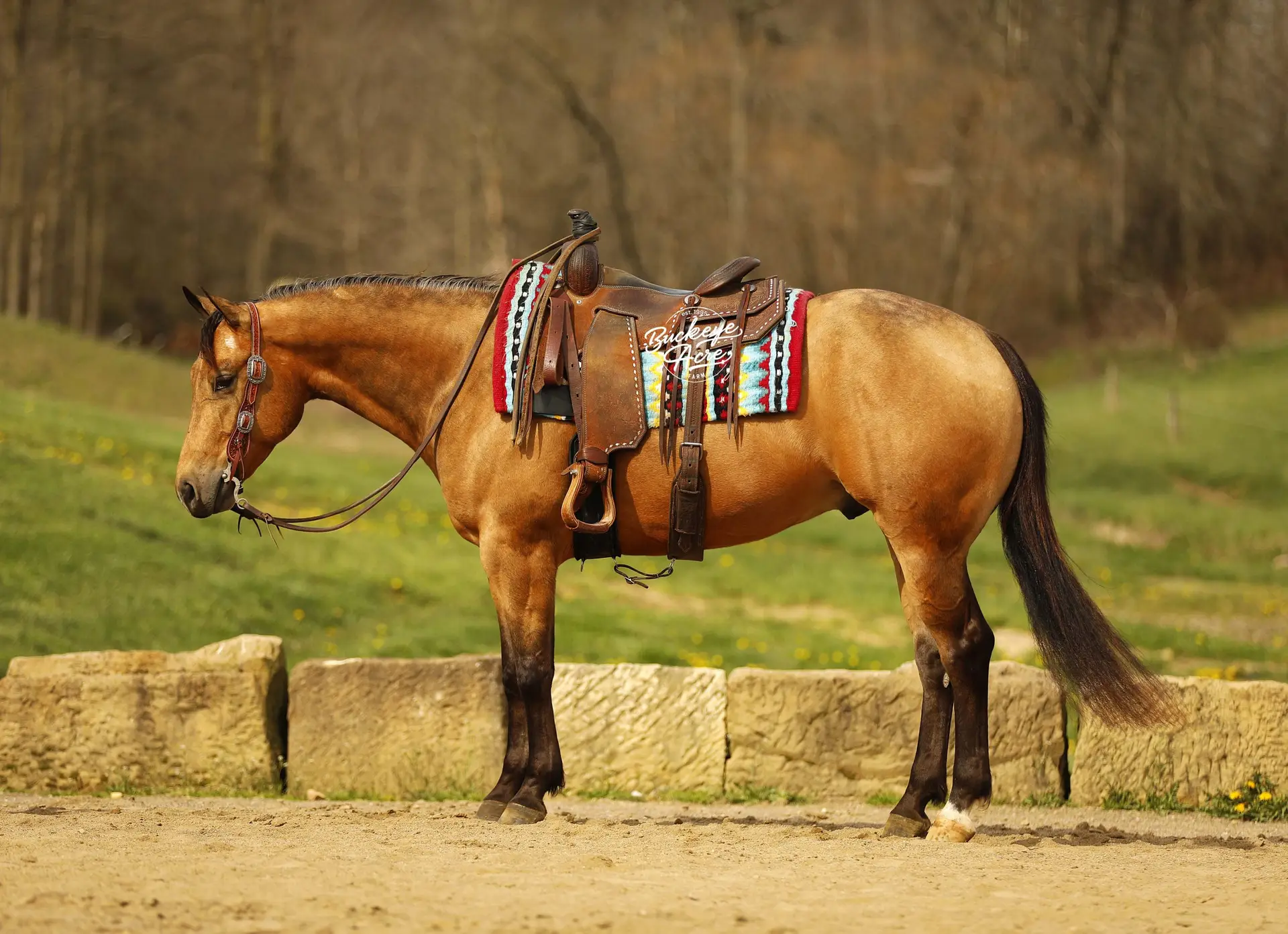 91A9657-2-copy-scaled-1.jpg