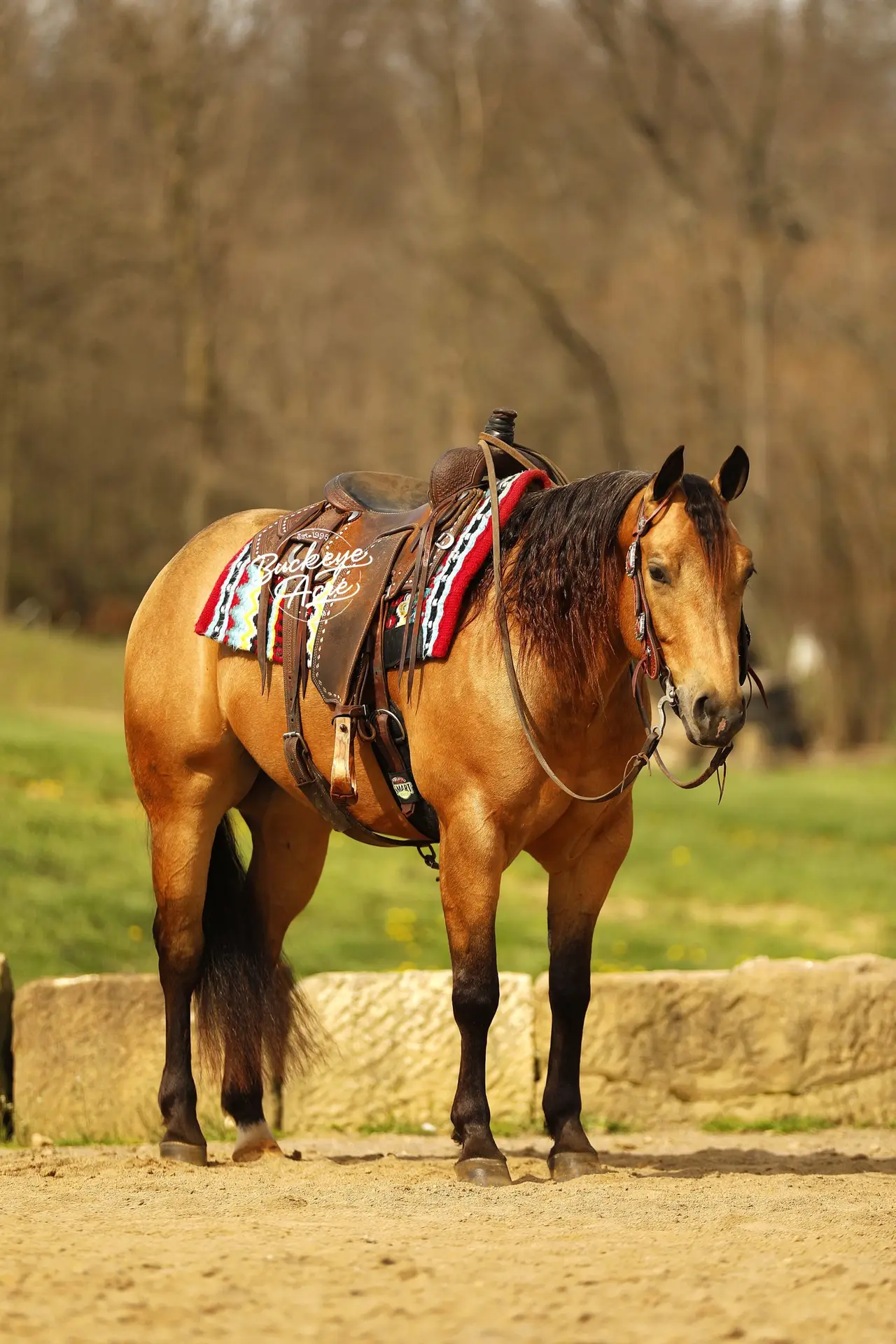 91A9710-2-copy-scaled-1.jpg