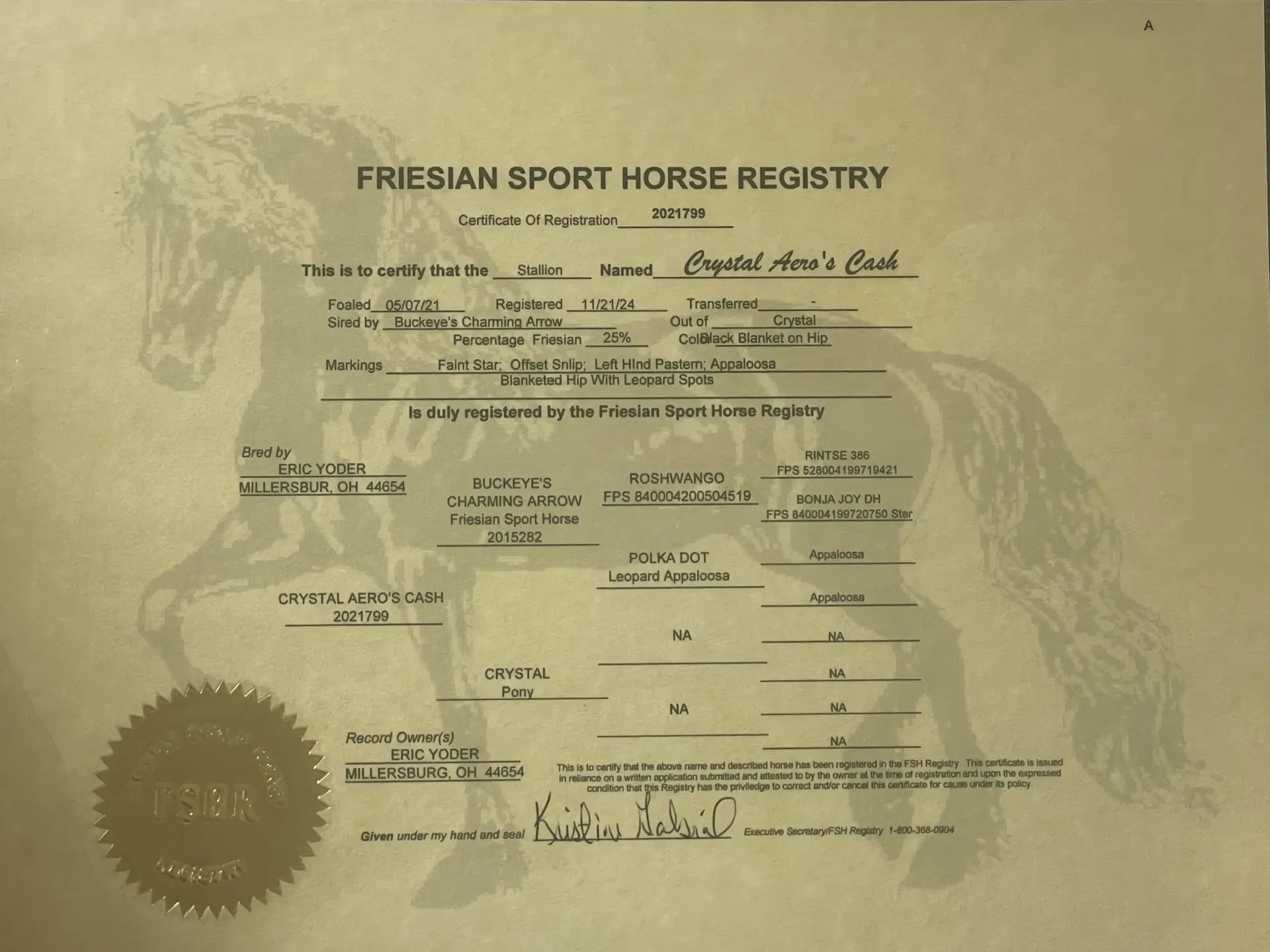 Cash Front Reg. Papers