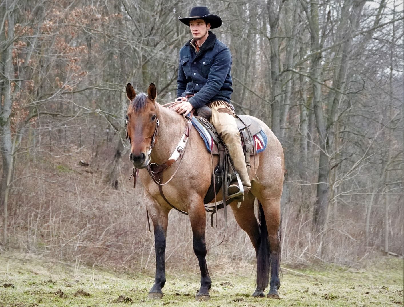 Man wearing a black cowboy hat and navy jacket rides a horse through a bare-branched forest.