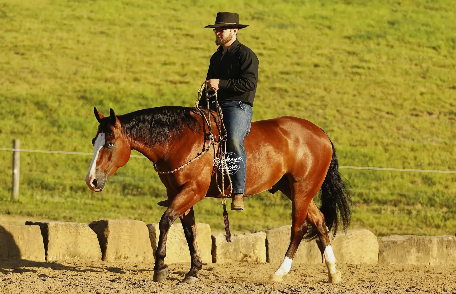 Man in a black shirt and wide-brimmed hat rides a brown horse in an outdoor arena with a grassy hillside behind him by a low barrier.