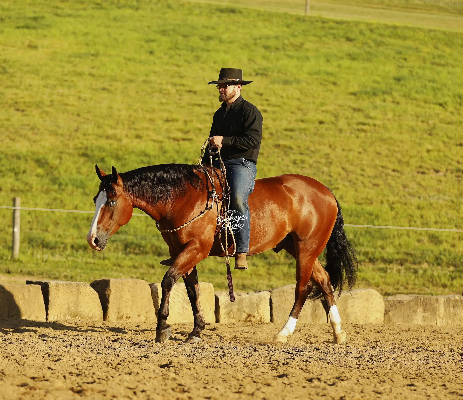 Man in a black shirt and wide-brimmed hat rides a brown horse in an outdoor arena with a grassy hillside behind him by a low barrier.