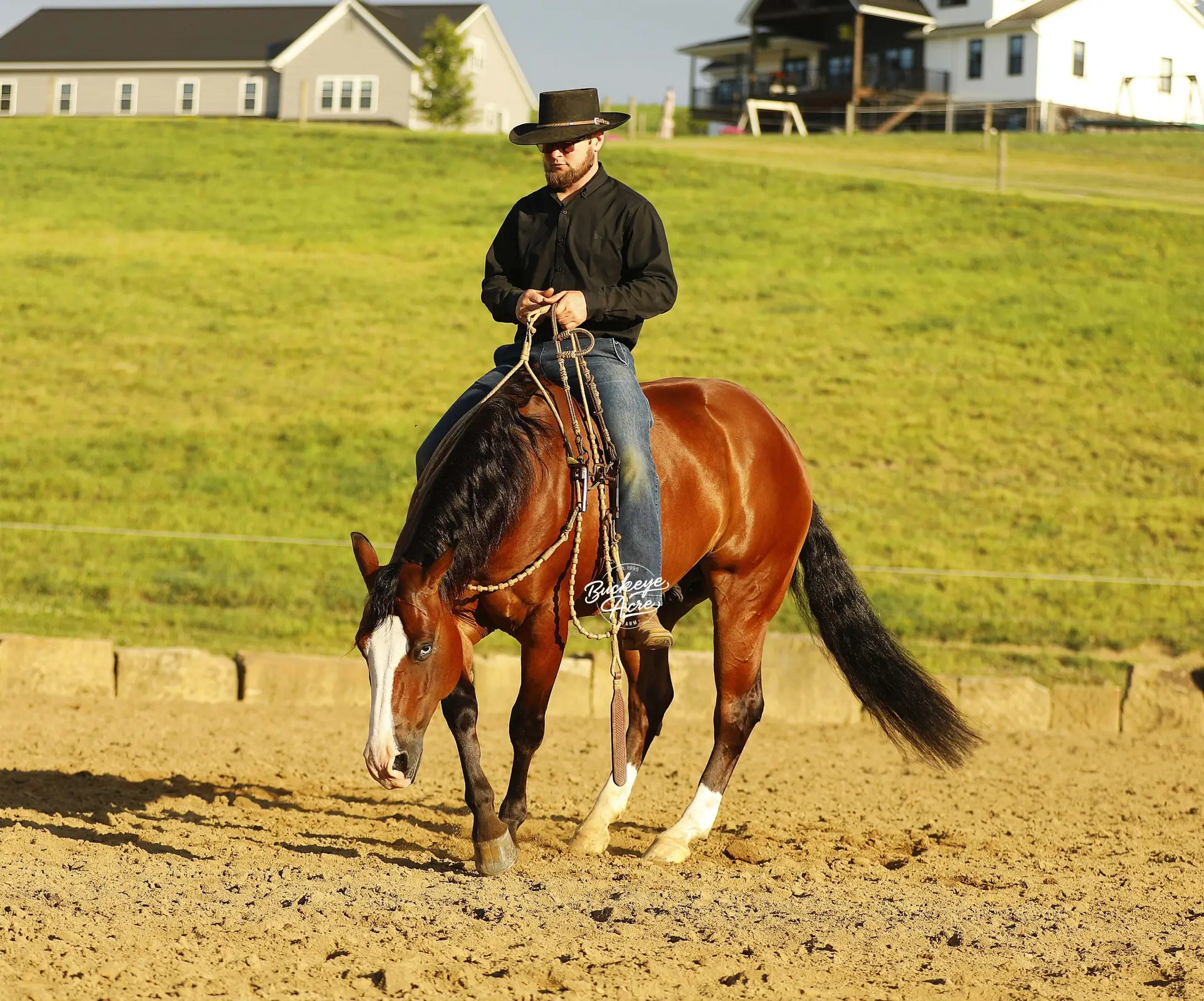 Man wearing a black shirt and wide-brimmed hat rides a brown horse in a dirt arena with houses in the background.