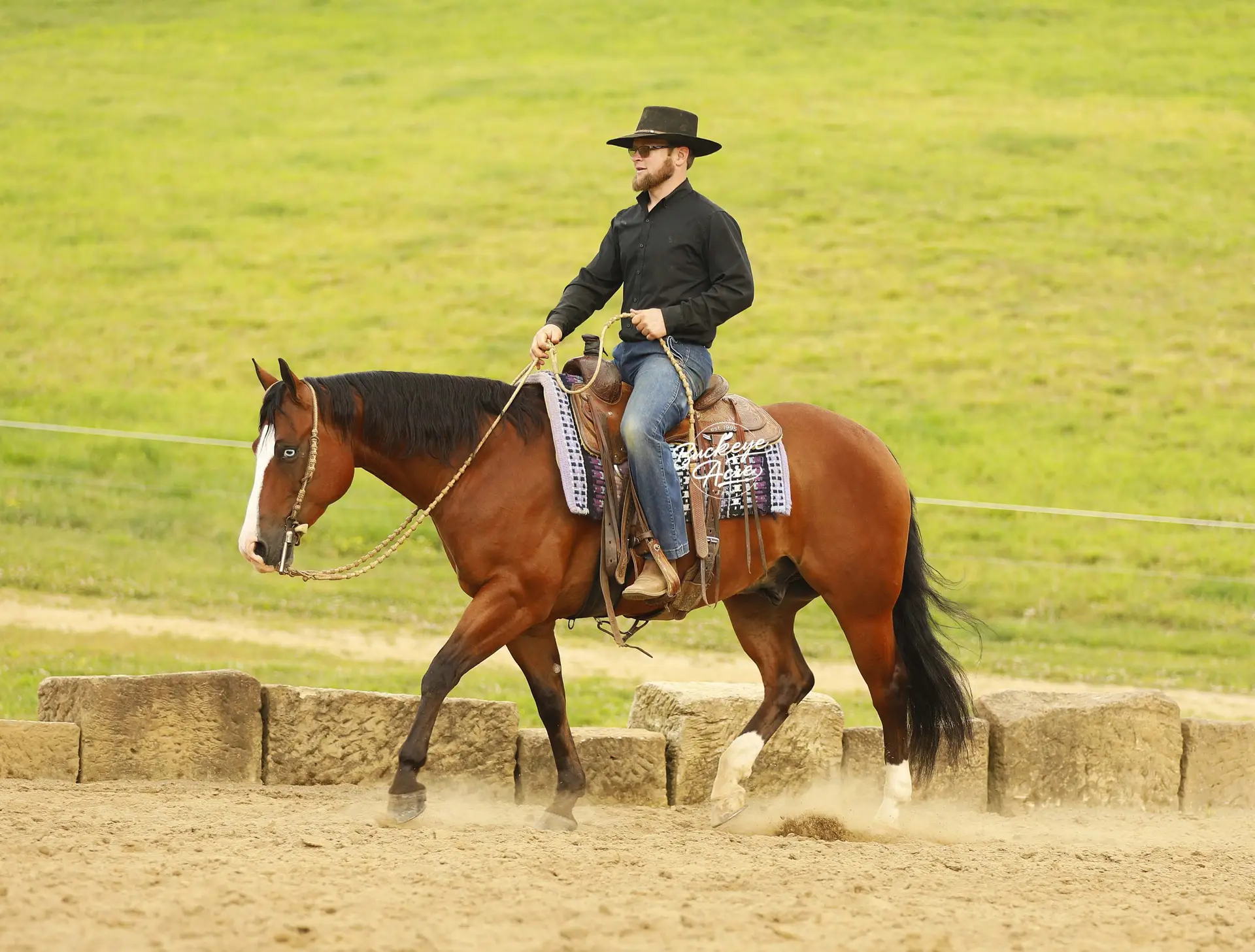 Cowboy in a black shirt and wide-brimmed hat rides a brown horse past a low stone wall in a green field.