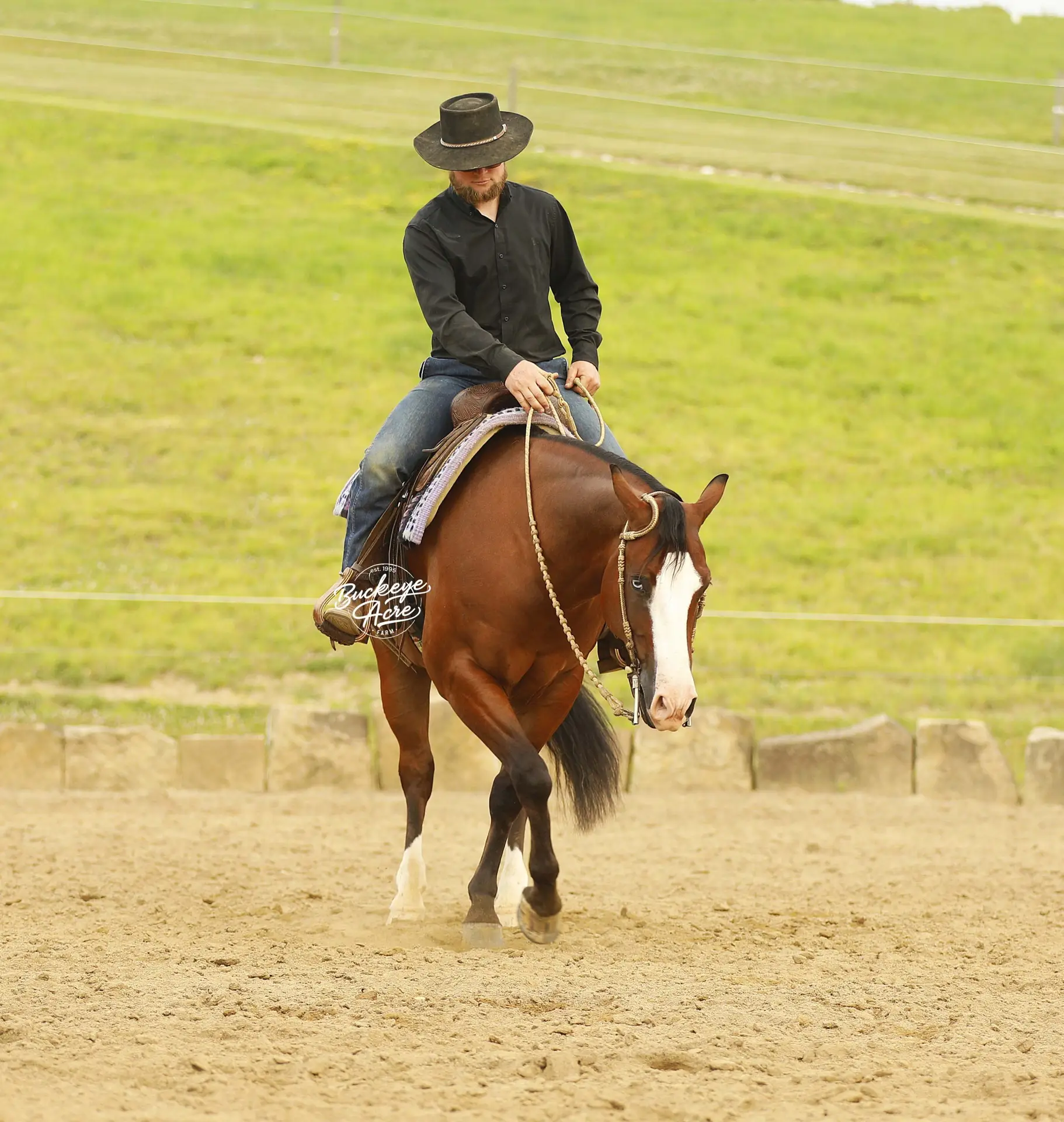 Man wearing a black shirt and wide-brimmed hat rides a brown horse in an outdoor arena, holding the reins.