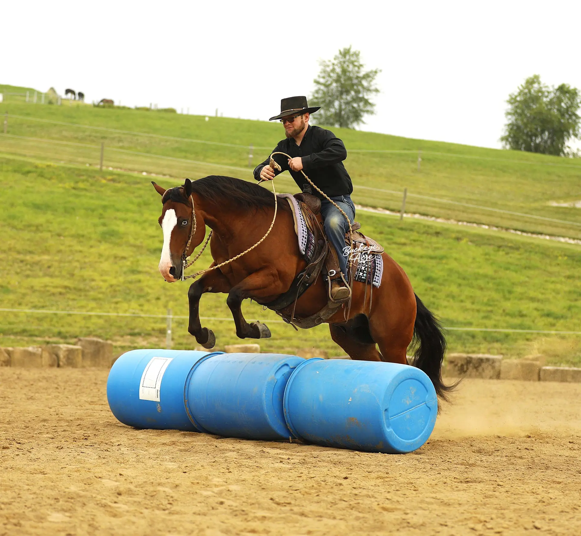 Man wearing a black shirt and hat rides a horse as it jumps over a blue barrel obstacle in an outdoor arena.