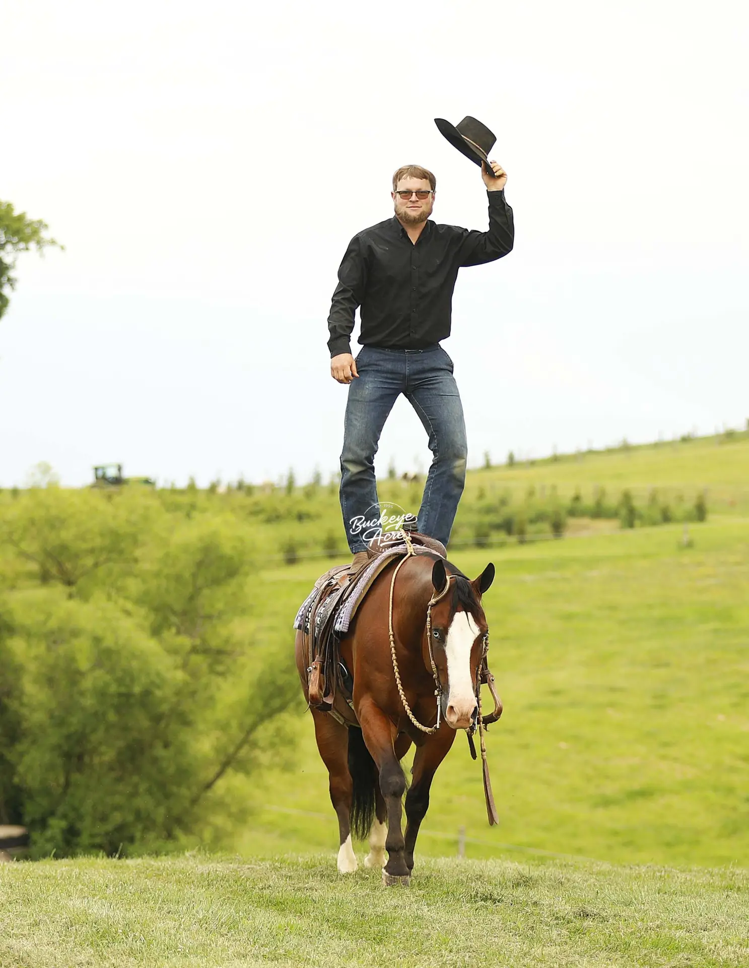 Man in a black shirt stands on a horse in a grassy field, tipping a black hat up in the air.