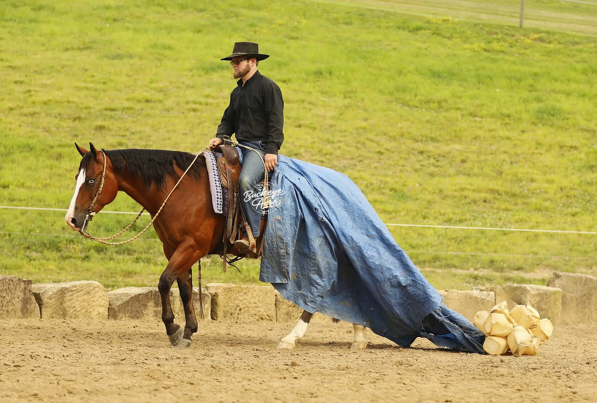Man wearing a black shirt and wide-brimmed hat rides a brown horse, with a blue tarp draped over its side in a grassy arena area.
