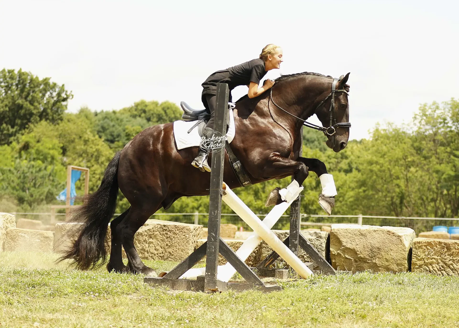 Female rider on a dark horse jumping a white-and-black crossrail obstacle outdoors.