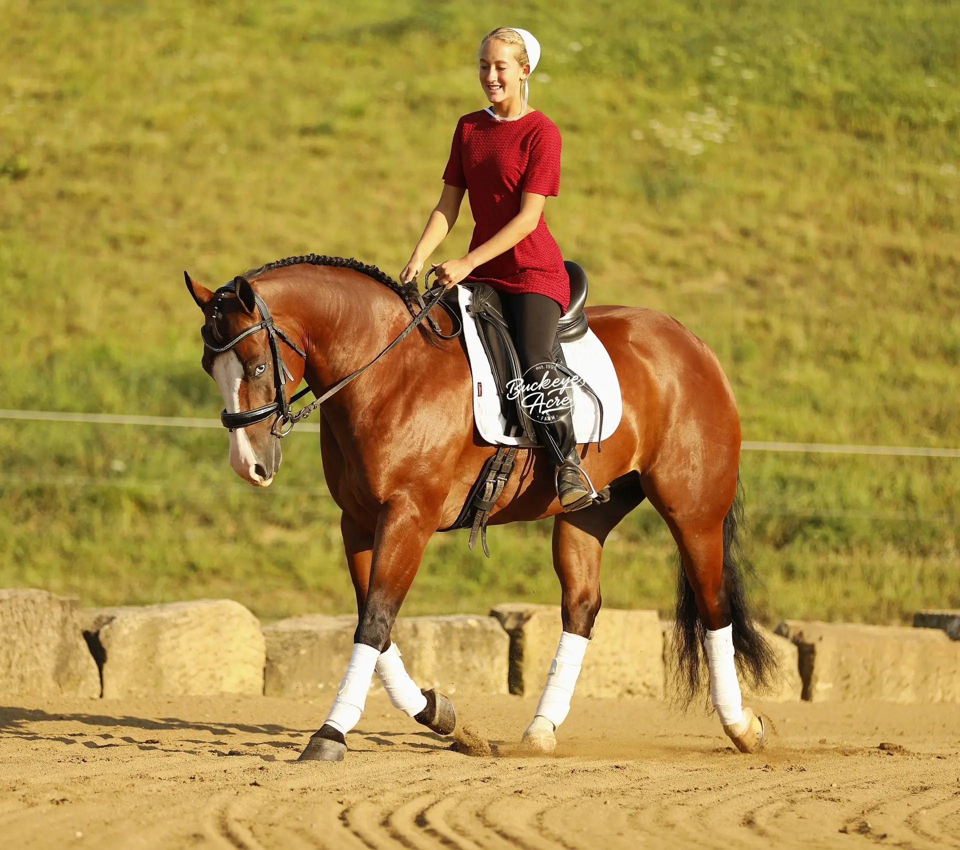 Rider on a chestnut horse wearing a red dress and white headscarf, riding on a sandy arena with a rocky barrier nearby.