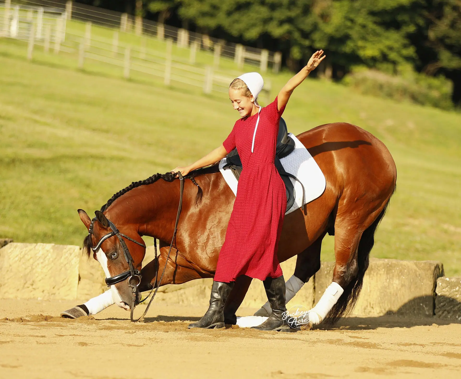 Young rider in a red outfit atop a brown horse, raising her arm in an outdoor riding arena.