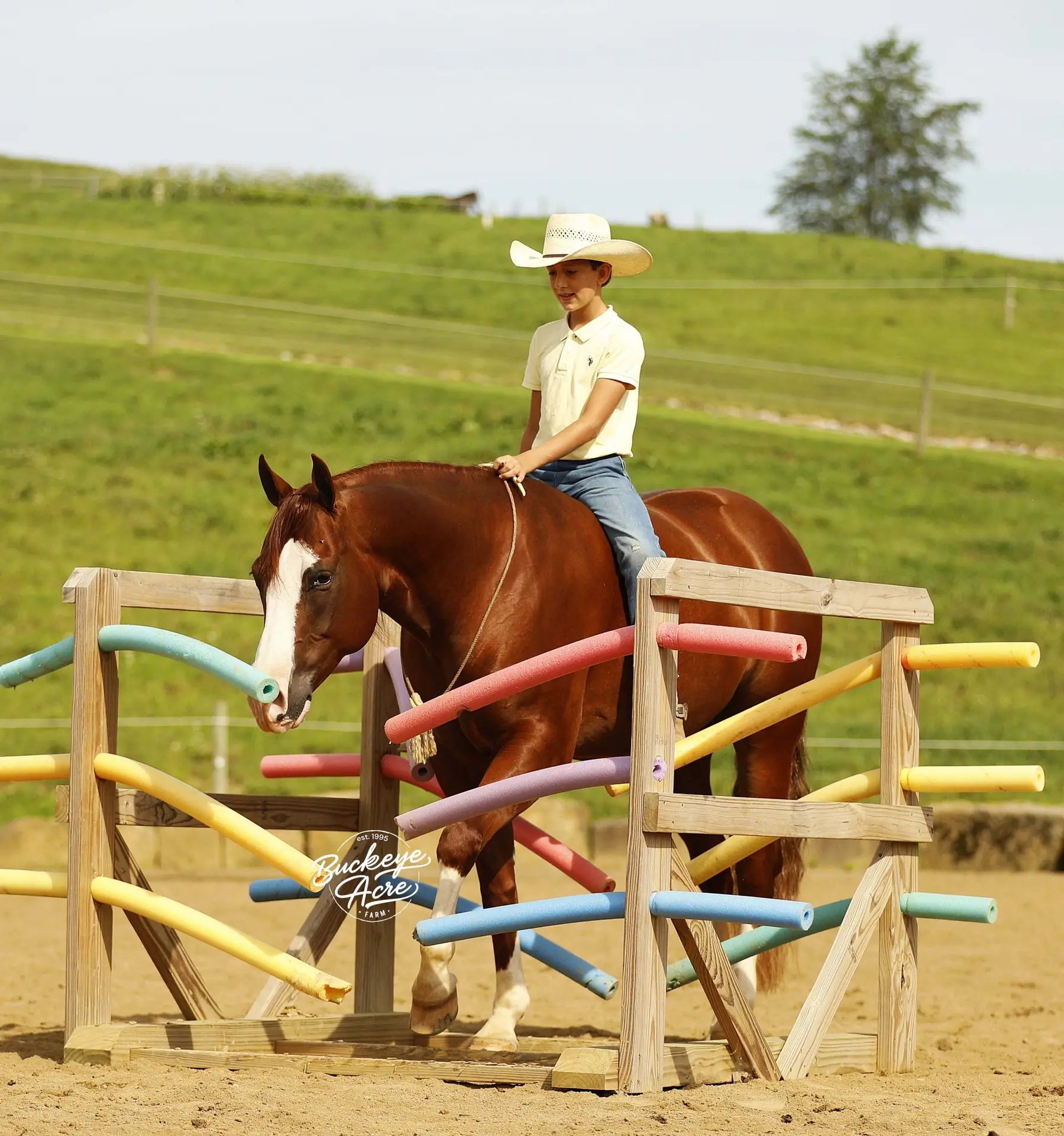 Child or young rider wearing a straw cowboy hat guiding a brown horse over a colorful wooden obstacle in a rural arena.