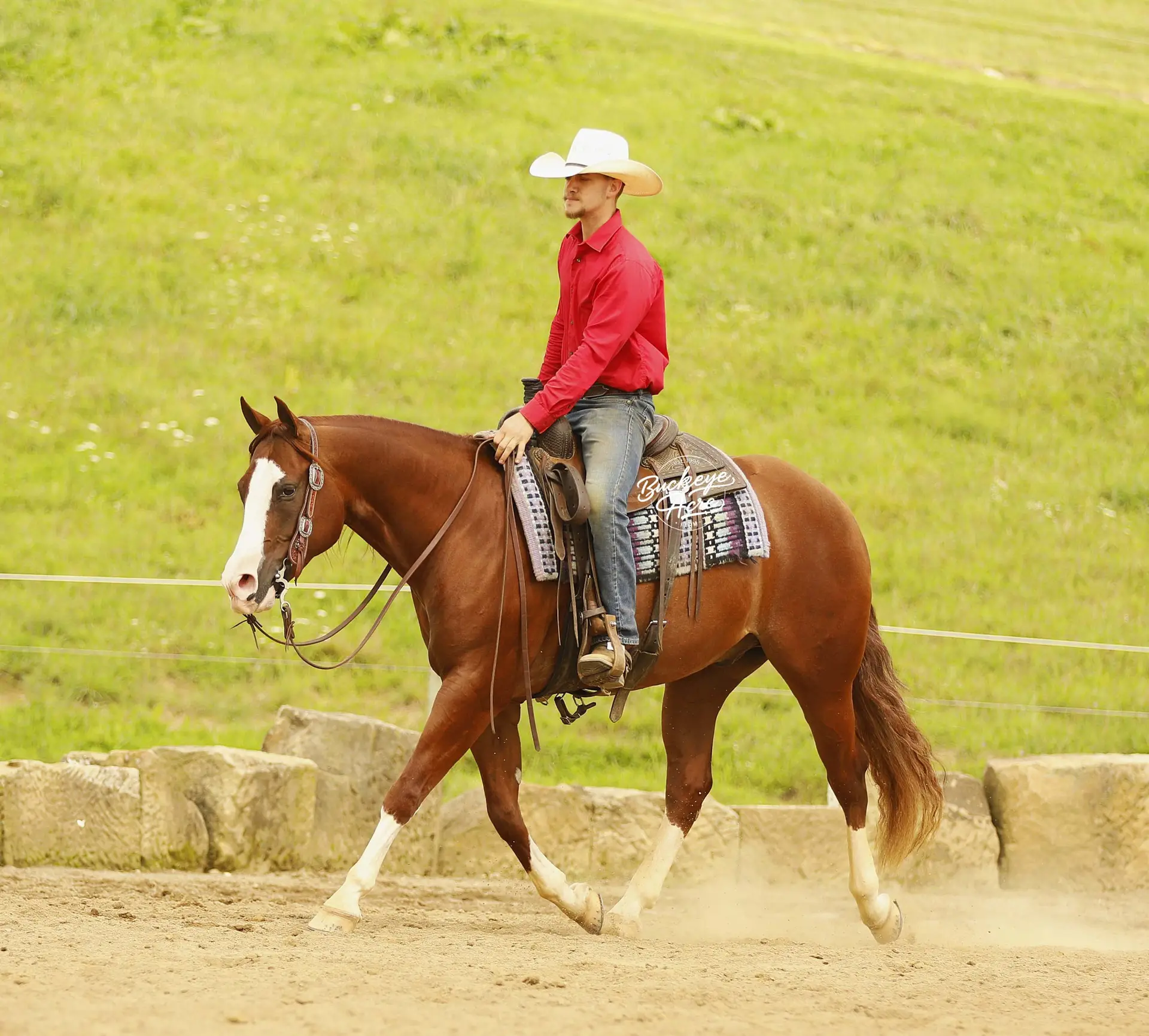 Man wearing a white cowboy hat and red shirt rides a brown horse in an outdoor arena with a grassy hill behind.