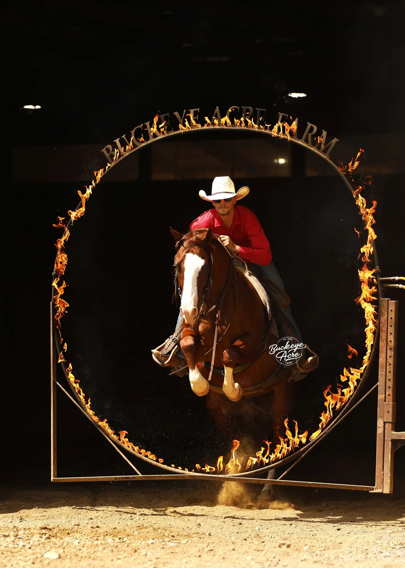 Horseback rider in a red shirt and white cowboy hat jumps through a flaming circular hoop against a dark background.