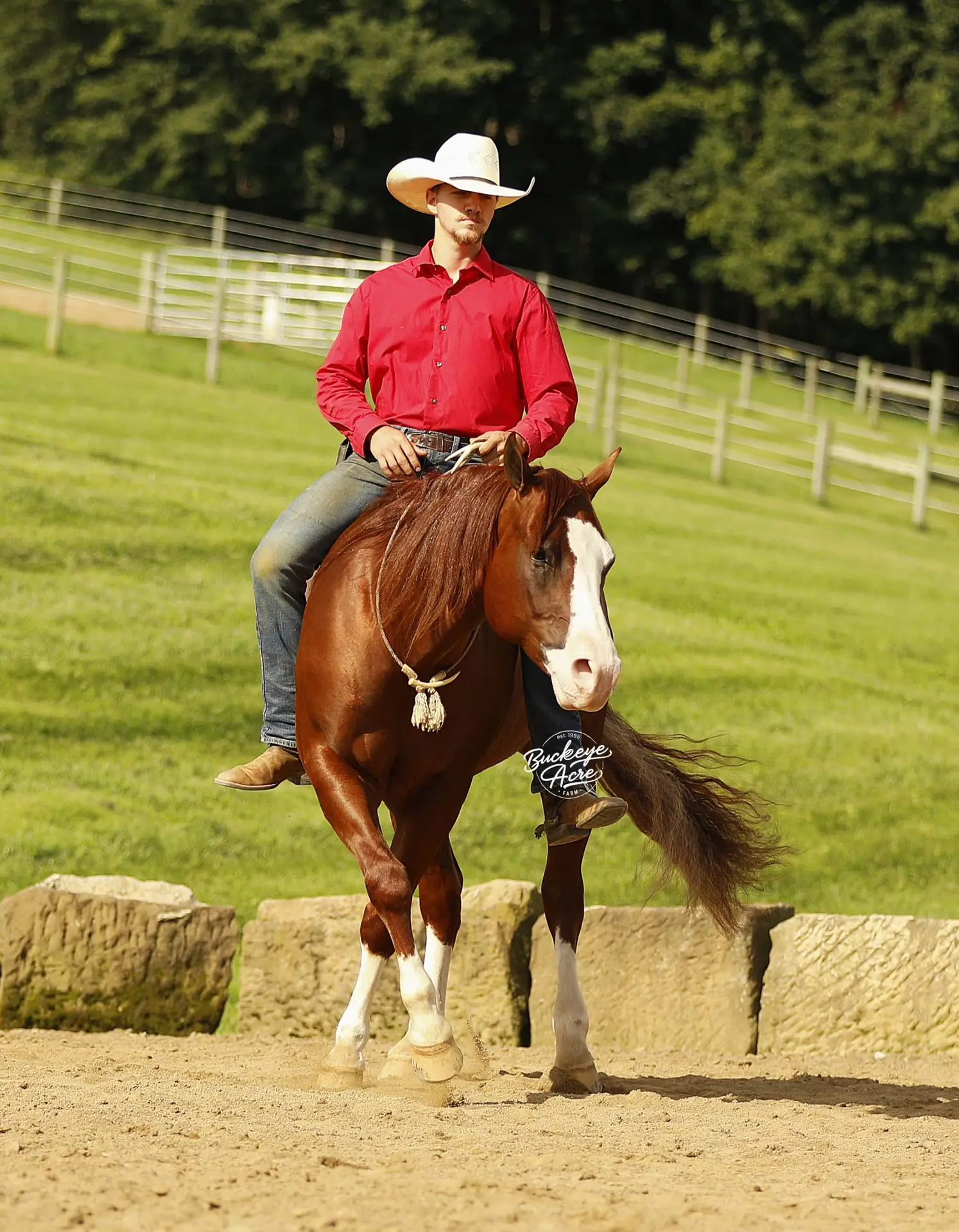 Man in a red button-down shirt and white cowboy hat rides a brown horse in a fenced outdoor arena on a sunny day.