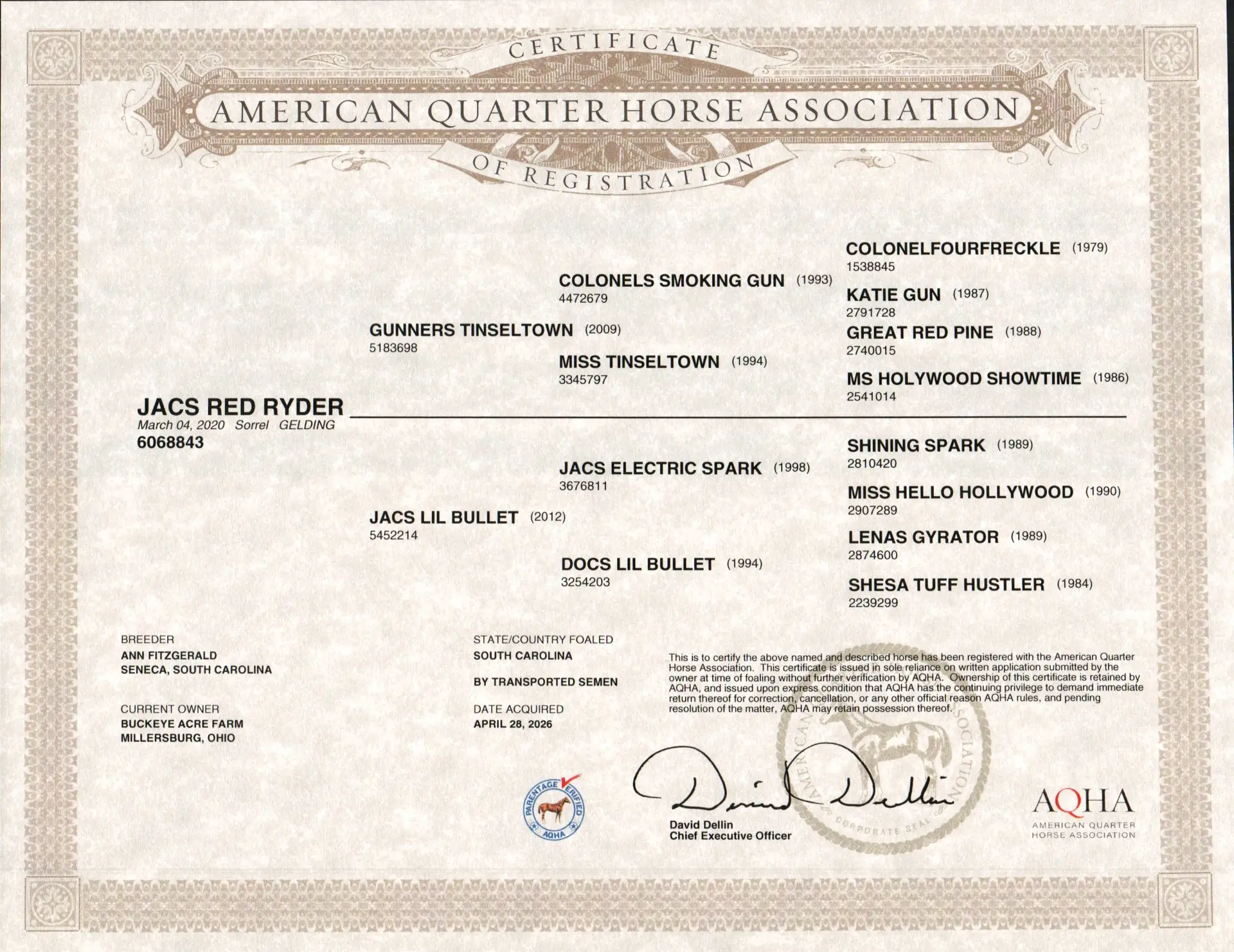 AQHA Certificate of Registration with decorative border, listing horse names and registration numbers (official document).