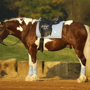 Paint horse with brown and white coat wearing a blue quilted saddle pad and black saddle in an outdoor arena.